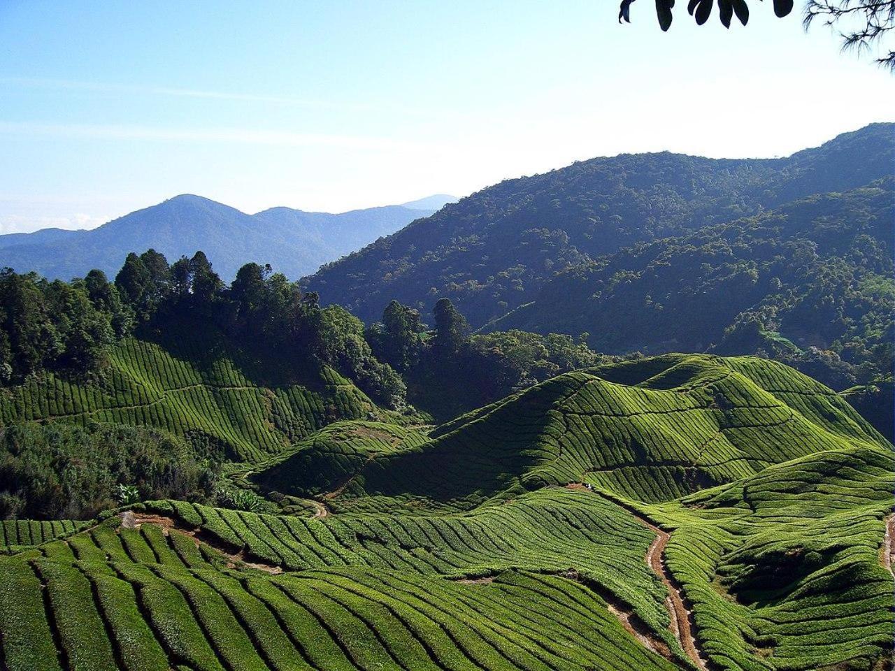 Cameron Kea Farm Hotel Brinchang Luaran gambar